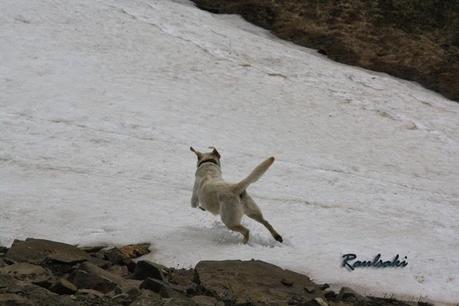 Pico Pelopín desde Oto