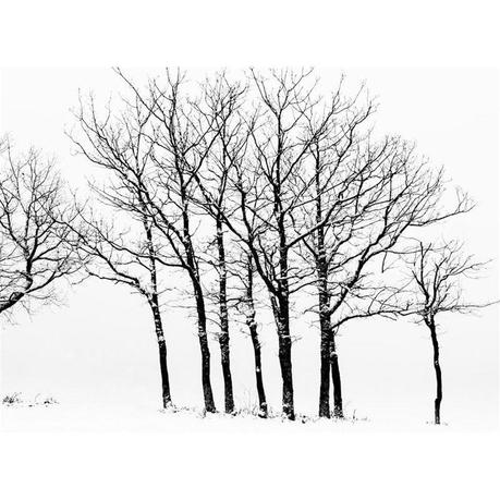 paisaje nieve fotogafia de autor ilovepitita Black Friday