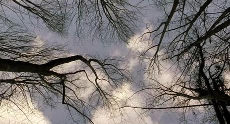 The Village - 2004