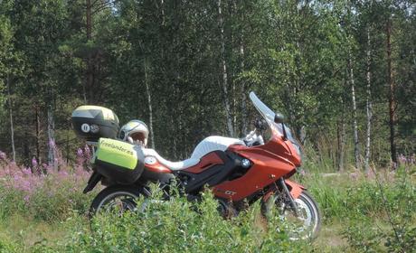 Entre los bosques de Finlandia, una nueva etapa del viaje comienza