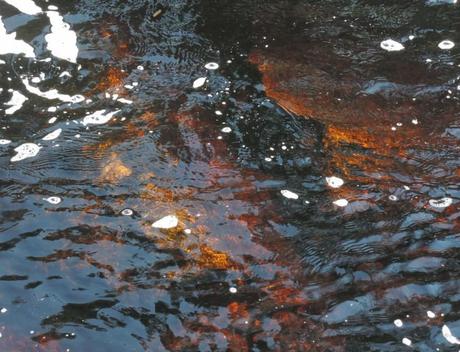 Detalle del color de las aguas