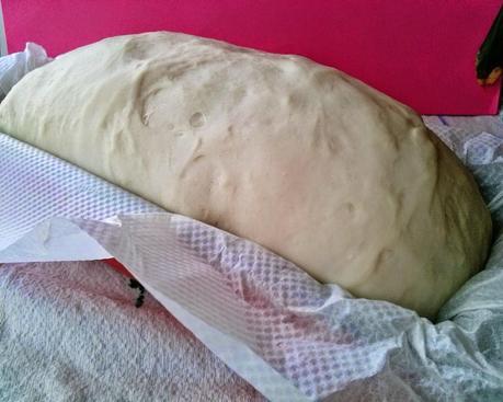 Pan de Molde a la Miel  y Tostadas con Aceite de Oliva Virgen y Miel