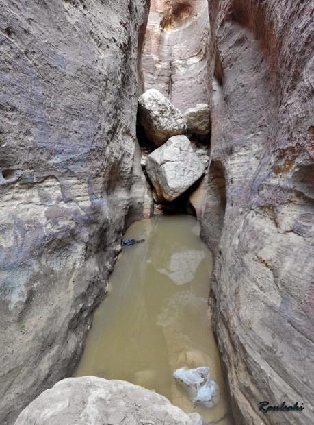 Petra al completo en un solo dia