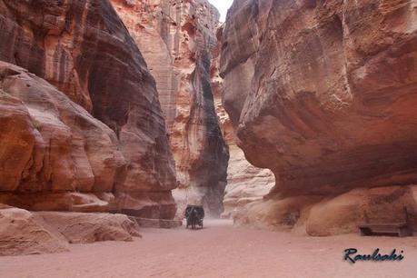 Petra al completo en un solo dia