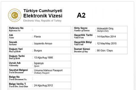 Mi eVisa de Turquía