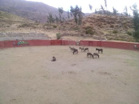 Antigua plaza de toros ahora convertida en cuadra de burros