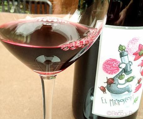 vino-microscopi-2013-bacoyboca-3