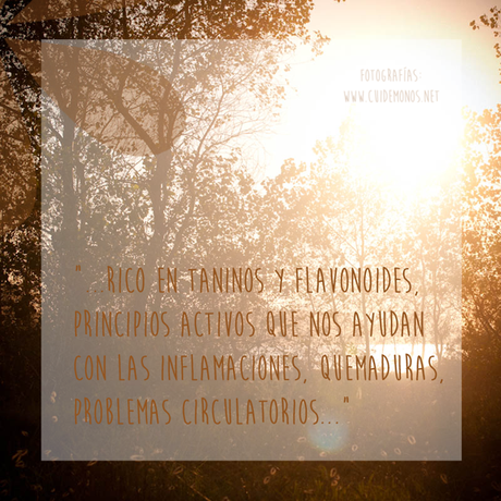 Remedios naturales y caseros para las descamaciones