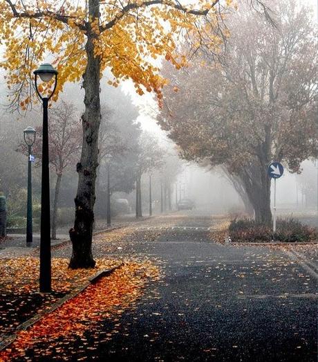 Fin de Semana       /       Weekend