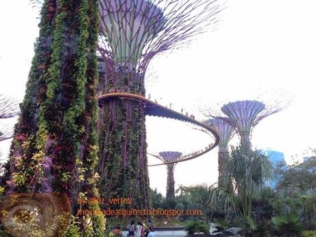 Botánico de Singapur o Gardens by the Bay. Parte 2.