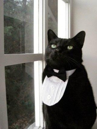 San Viernes en black