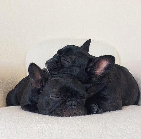 San Viernes en black