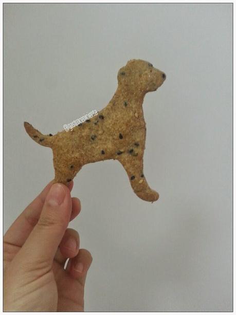 Galletas Caseras y Veganas para Perros