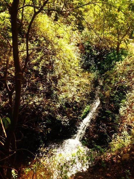 Barranco de Azuaje