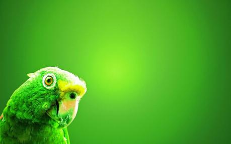 La Psicología del Color