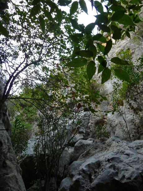 El Barranco del Lobo, Cirat