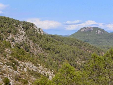 El Barranco del Lobo, Cirat