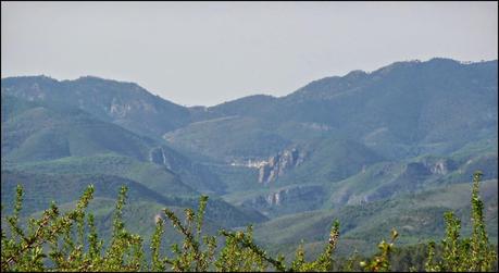 El Tormo - Gavites - Casa Tadeo - Santa Rosa(Ermita) - La Noguereta - Pozo Negro - El Tormo