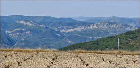 El Tormo - Gavites - Casa Tadeo - Santa Rosa(Ermita) - La Noguereta - Pozo Negro - El Tormo