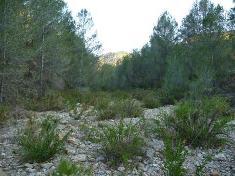 El Tormo - Gavites - Casa Tadeo - Santa Rosa(Ermita) - La Noguereta - Pozo Negro - El Tormo