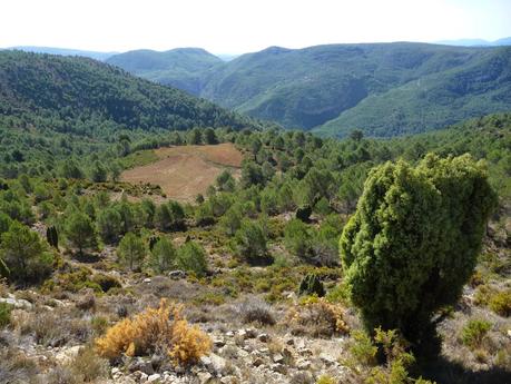 El Tormo - Gavites - Casa Tadeo - Santa Rosa(Ermita) - La Noguereta - Pozo Negro - El Tormo