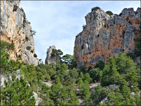 Caminando por la Rambla Celumbres (Portell de Morella)