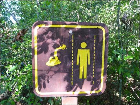 Itinerarios por la Selva Misionera (Argentina): Salto escondido, Moconá, Iguazú