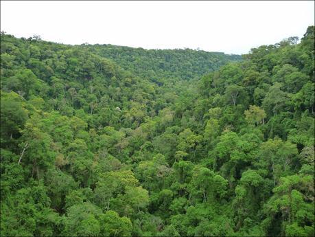 Itinerarios por la Selva Misionera (Argentina): Salto escondido, Moconá, Iguazú