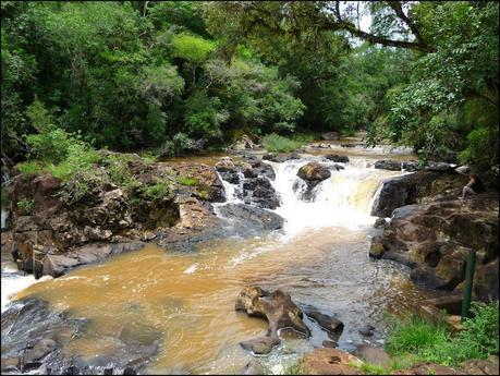 Itinerarios por la Selva Misionera (Argentina): Salto escondido, Moconá, Iguazú