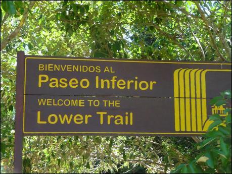 Itinerarios por la Selva Misionera (Argentina): Salto escondido, Moconá, Iguazú