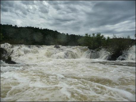 Itinerarios por la Selva Misionera (Argentina): Salto escondido, Moconá, Iguazú