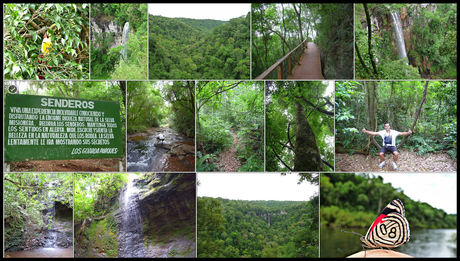 Itinerarios por la Selva Misionera (Argentina): Salto escondido, Moconá, Iguazú