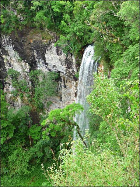 Itinerarios por la Selva Misionera (Argentina): Salto escondido, Moconá, Iguazú