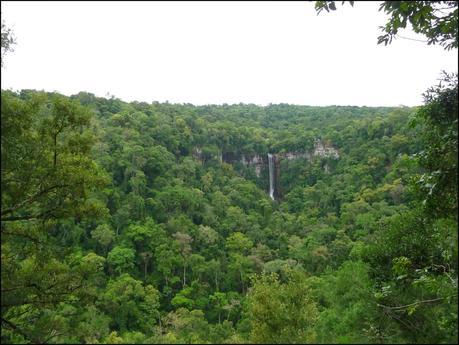 Itinerarios por la Selva Misionera (Argentina): Salto escondido, Moconá, Iguazú