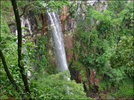 Itinerarios por la Selva Misionera (Argentina): Salto escondido, Moconá, Iguazú