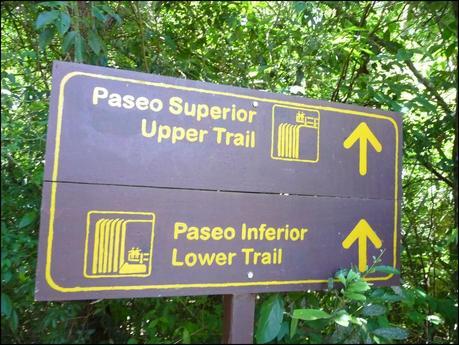 Itinerarios por la Selva Misionera (Argentina): Salto escondido, Moconá, Iguazú