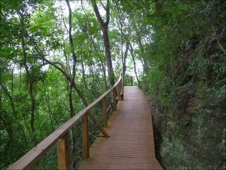 Itinerarios por la Selva Misionera (Argentina): Salto escondido, Moconá, Iguazú