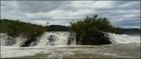 Itinerarios por la Selva Misionera (Argentina): Salto escondido, Moconá, Iguazú