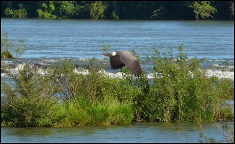 Itinerarios por la Selva Misionera (Argentina): Salto escondido, Moconá, Iguazú