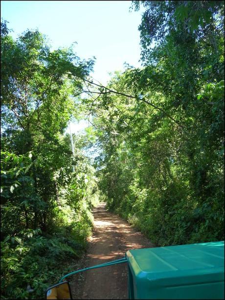 Itinerarios por la Selva Misionera (Argentina): Salto escondido, Moconá, Iguazú