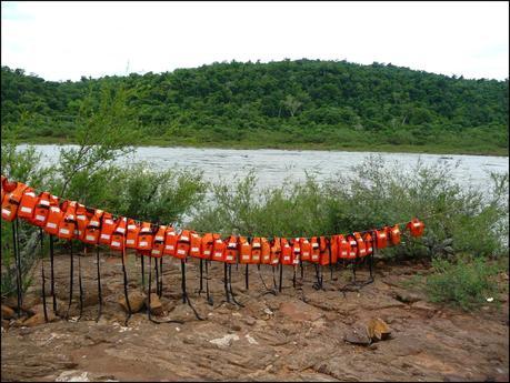 Itinerarios por la Selva Misionera (Argentina): Salto escondido, Moconá, Iguazú