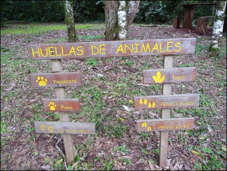 Itinerarios por la Selva Misionera (Argentina): Salto escondido, Moconá, Iguazú