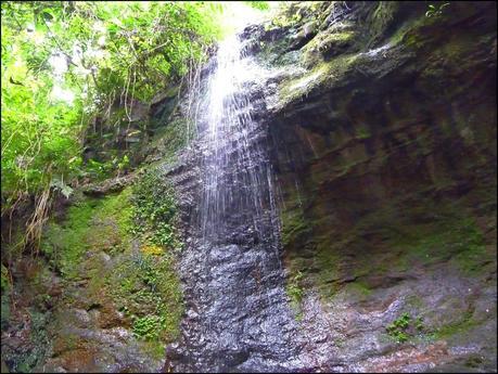 Itinerarios por la Selva Misionera (Argentina): Salto escondido, Moconá, Iguazú