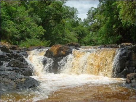 Itinerarios por la Selva Misionera (Argentina): Salto escondido, Moconá, Iguazú