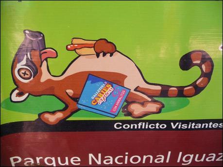 Itinerarios por la Selva Misionera (Argentina): Salto escondido, Moconá, Iguazú