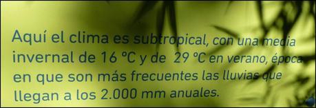 Itinerarios por la Selva Misionera (Argentina): Salto escondido, Moconá, Iguazú