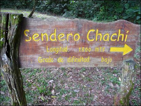 Itinerarios por la Selva Misionera (Argentina): Salto escondido, Moconá, Iguazú