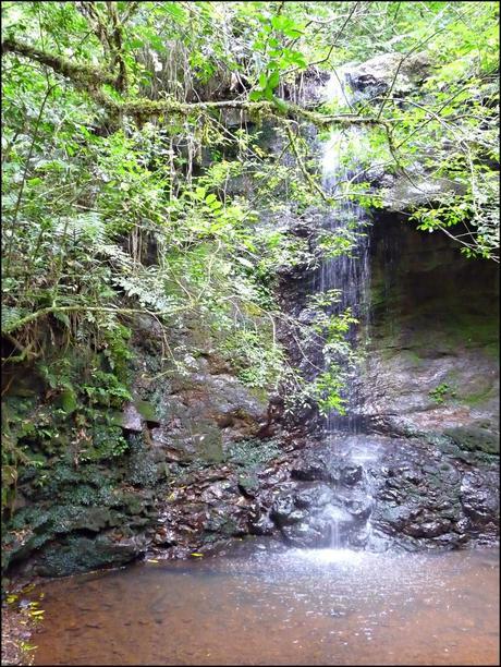 Itinerarios por la Selva Misionera (Argentina): Salto escondido, Moconá, Iguazú