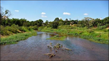Itinerarios por la Selva Misionera (Argentina): Salto escondido, Moconá, Iguazú