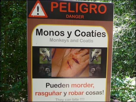 Itinerarios por la Selva Misionera (Argentina): Salto escondido, Moconá, Iguazú